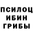 Галлюциногенные грибы Magic Shrooms Lodestar Inbound