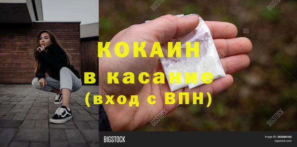 твердый Абаза