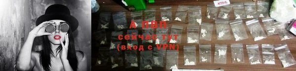 СК Абинск