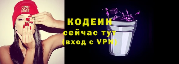 твердый Абаза
