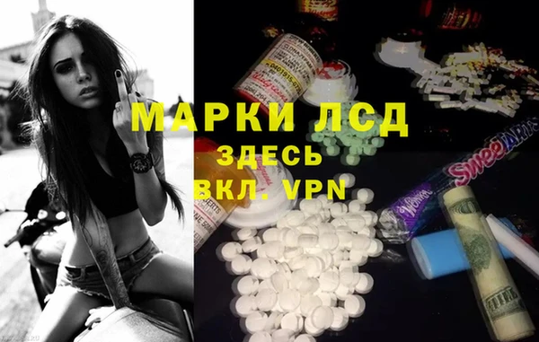 СК Абинск