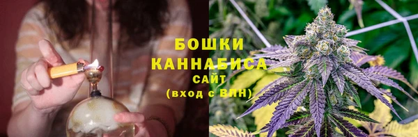 твердый Абаза