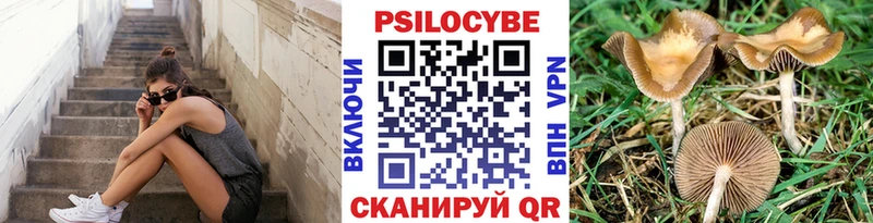 цены Невельск Псилоцибиновые грибы прущие грибы